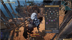 купить аккаунт Black Desert