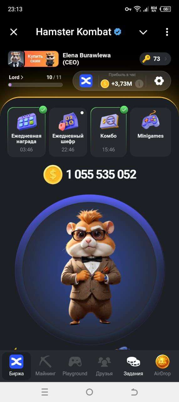 продажа аккаунта к игре Hamster Kombat