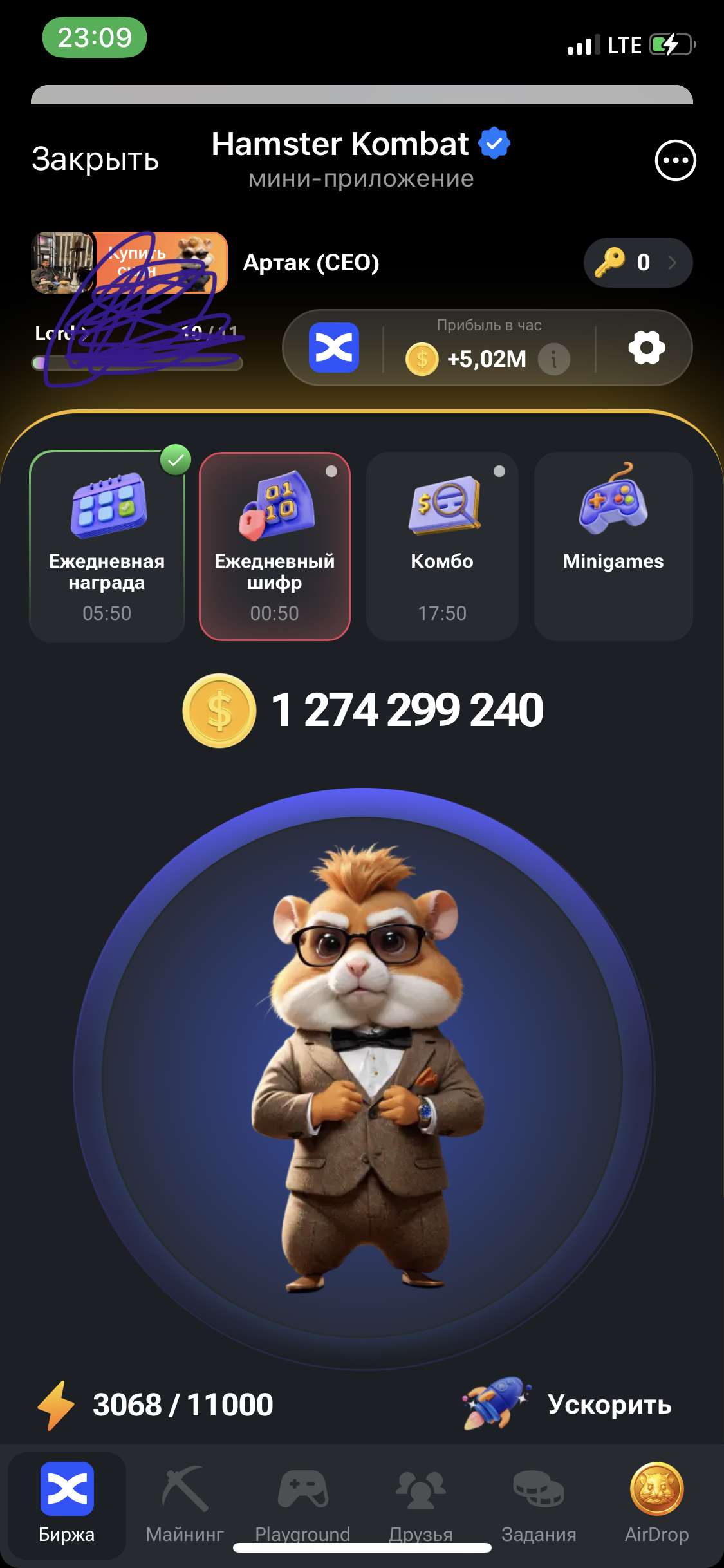 продажа аккаунта к игре Hamster Kombat