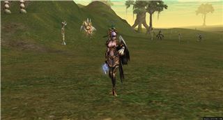 купить аккаунт Lineage 2