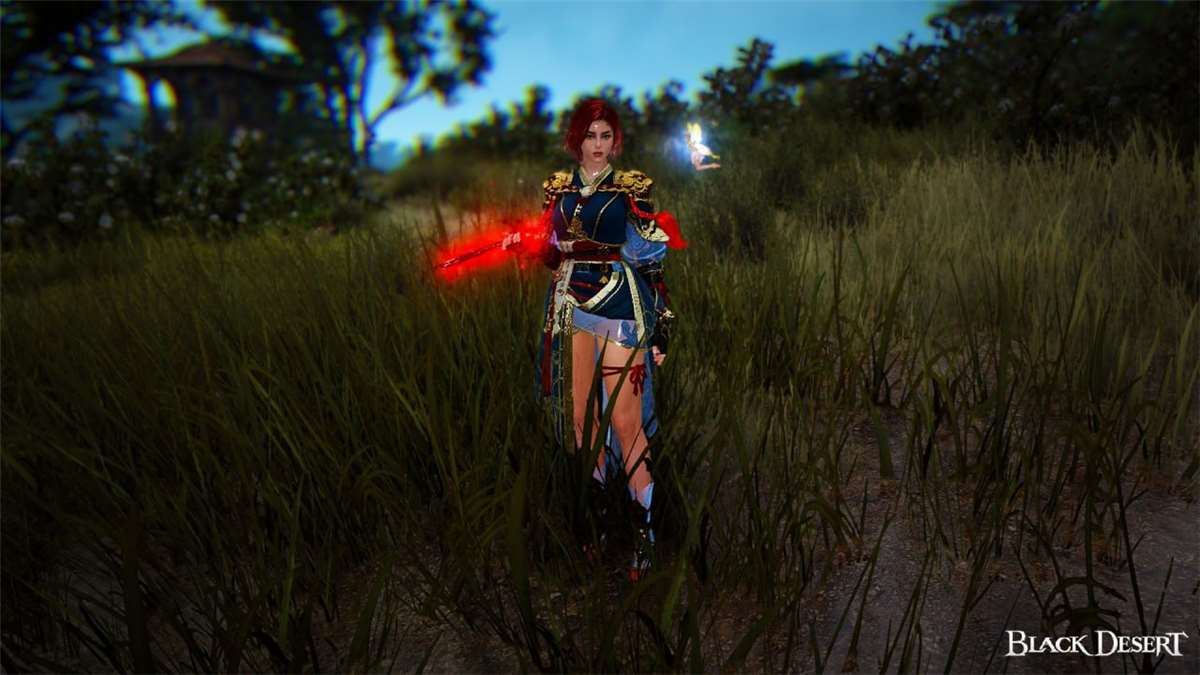 продажа аккаунта к игре Black Desert