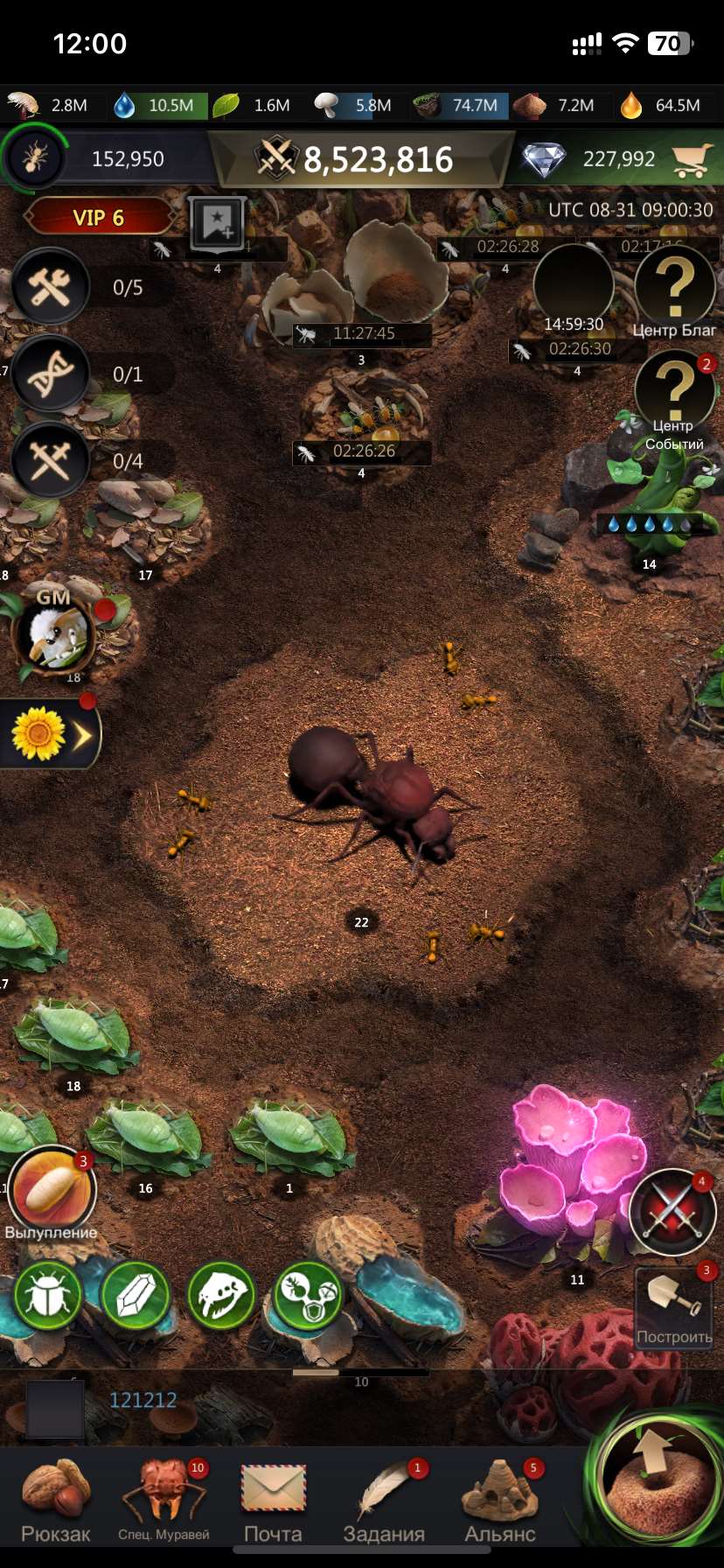 продажа аккаунта к игре The Ants