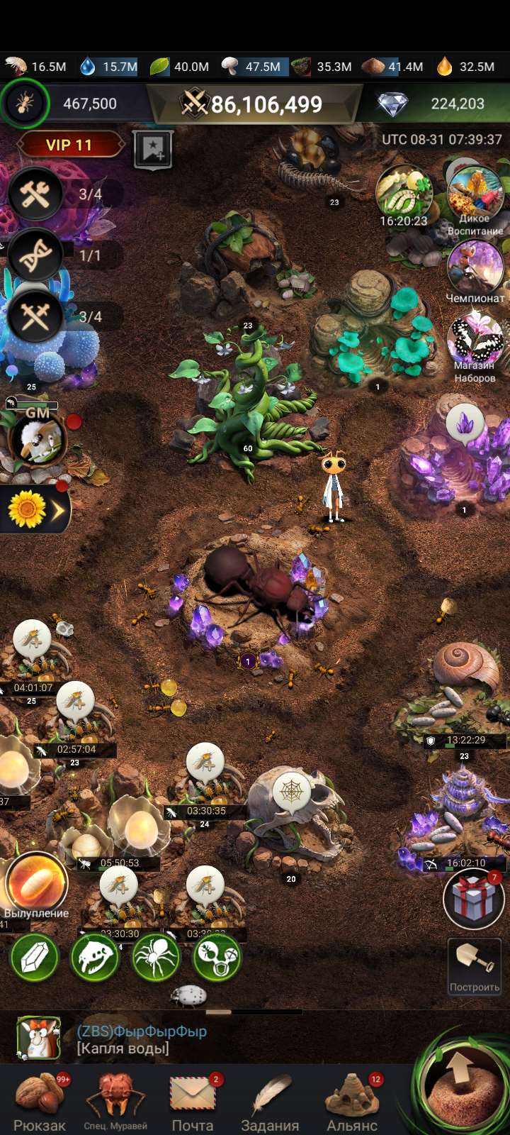 продажа аккаунта к игре The Ants