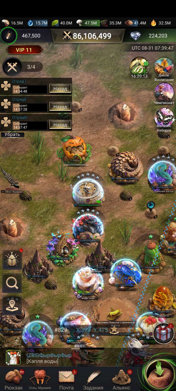 продажа аккаунта к игре The Ants