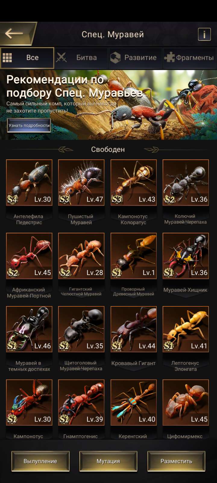 продажа аккаунта к игре The Ants