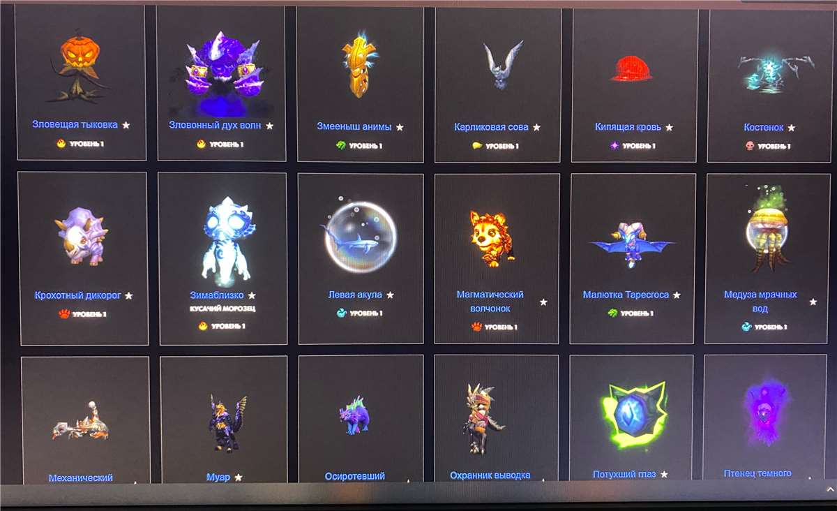 продажа аккаунта к игре World of Warcraft (WoW)