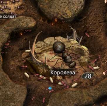 продажа аккаунта к игре Ant Legion