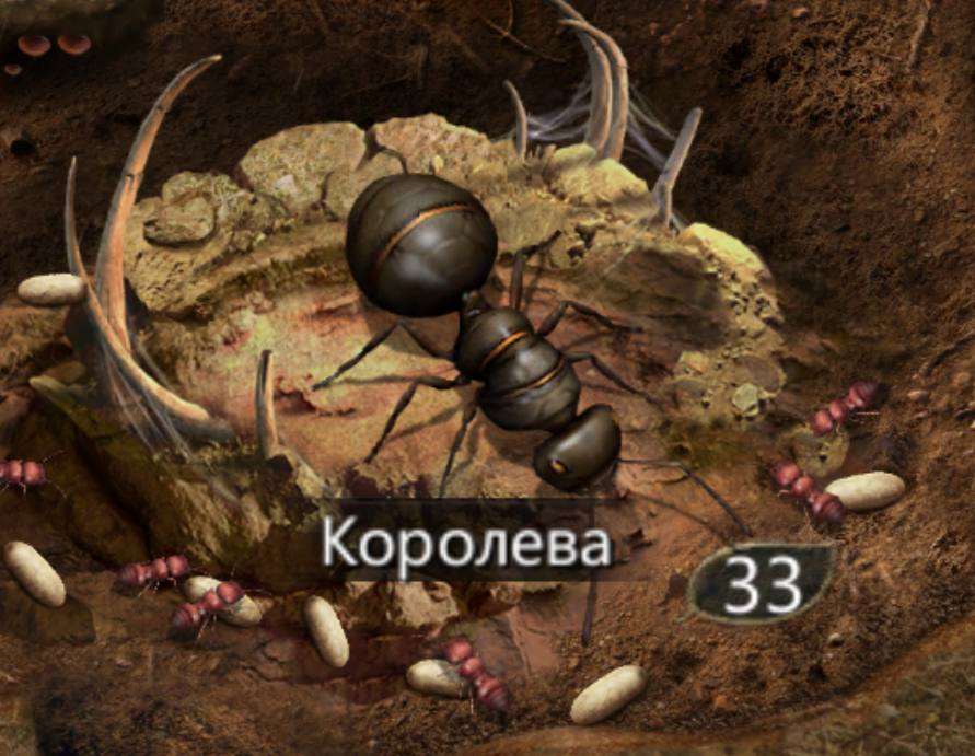 продажа аккаунта к игре Ant Legion