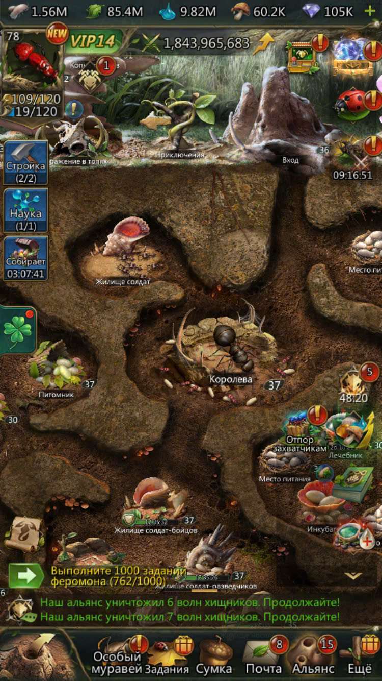 продажа аккаунта к игре Ant Legion