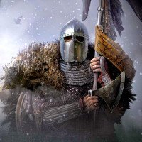 акаунты Mount and Blade Bannerlord