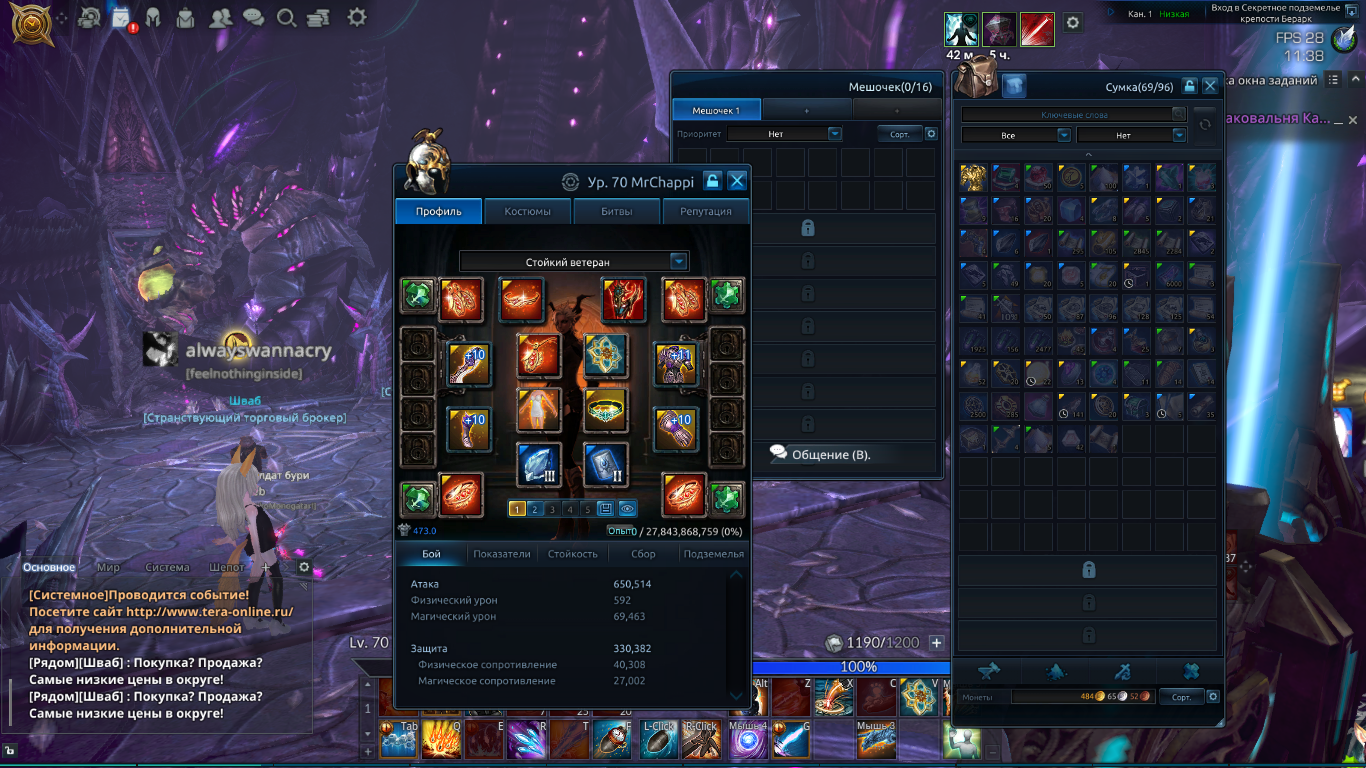 продажа аккаунта к игре Tera