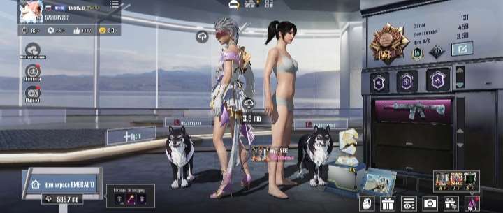 продажа аккаунта к игре PUBG MOBILE