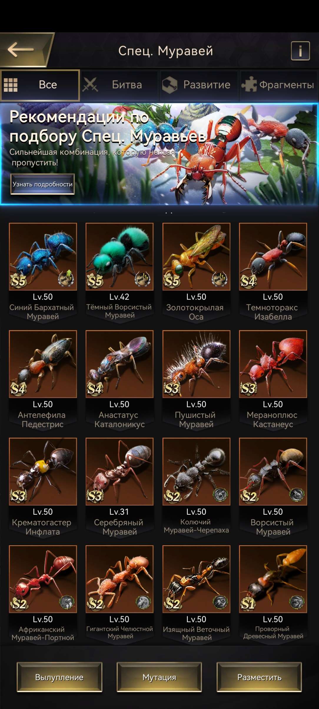 продажа аккаунта к игре The Ants