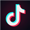 Биржа онлайн TikTok