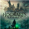 Биржа онлайн Hogwarts Legacy