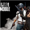 Биржа онлайн PUBG MOBILE