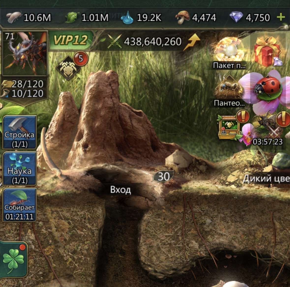 продажа аккаунта к игре Ant Legion