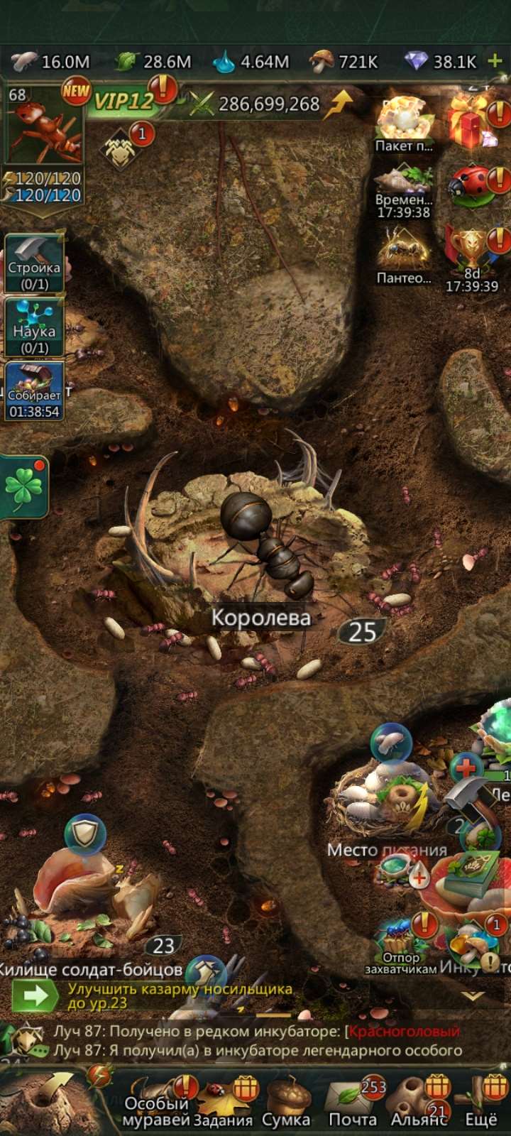 продажа аккаунта к игре Ant Legion