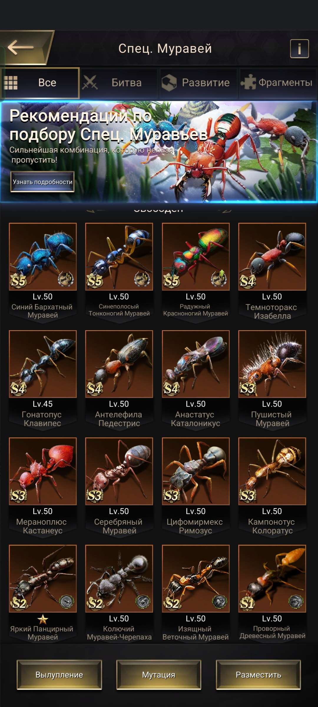 продажа аккаунта к игре The Ants