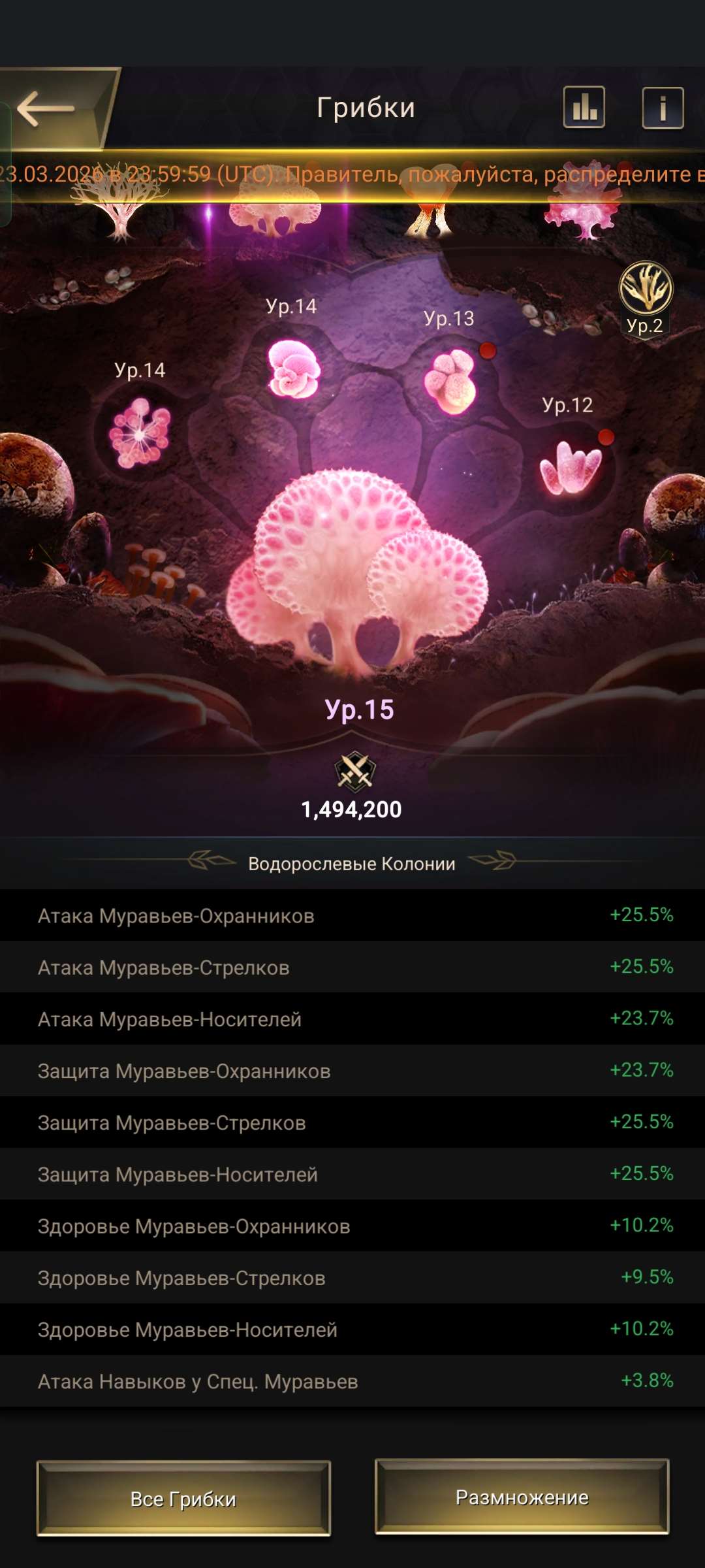 продажа аккаунта к игре The Ants