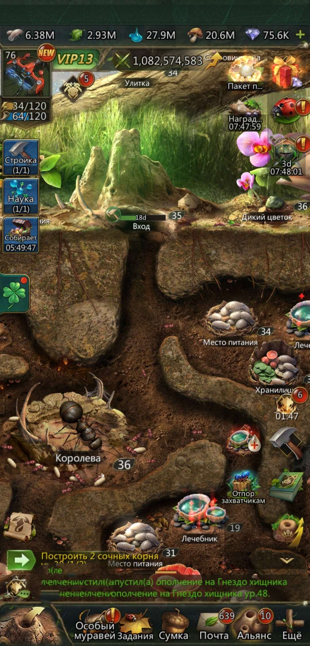 продажа аккаунта к игре Ant Legion