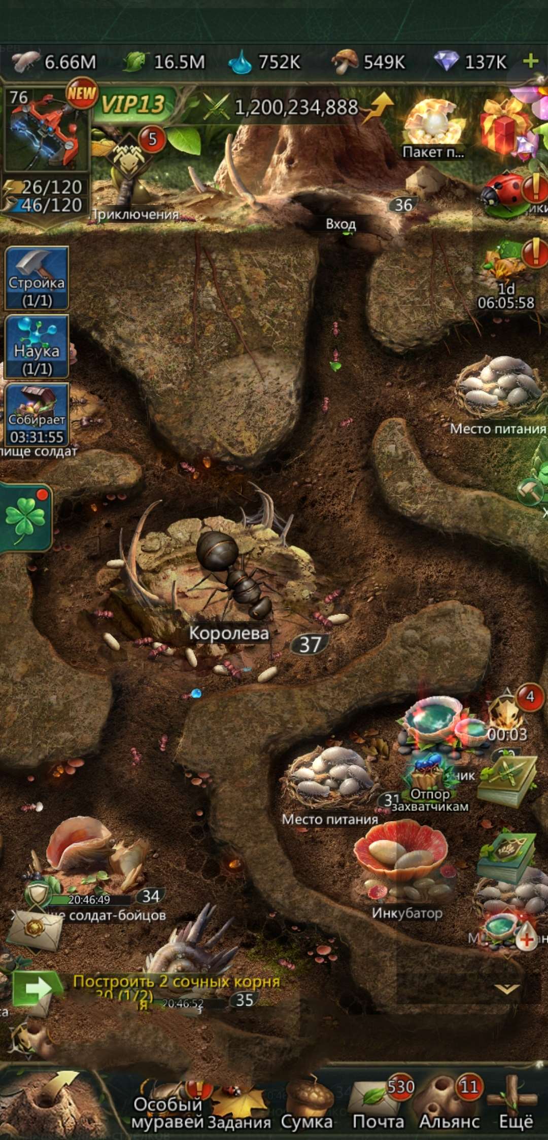 продажа аккаунта к игре Ant Legion