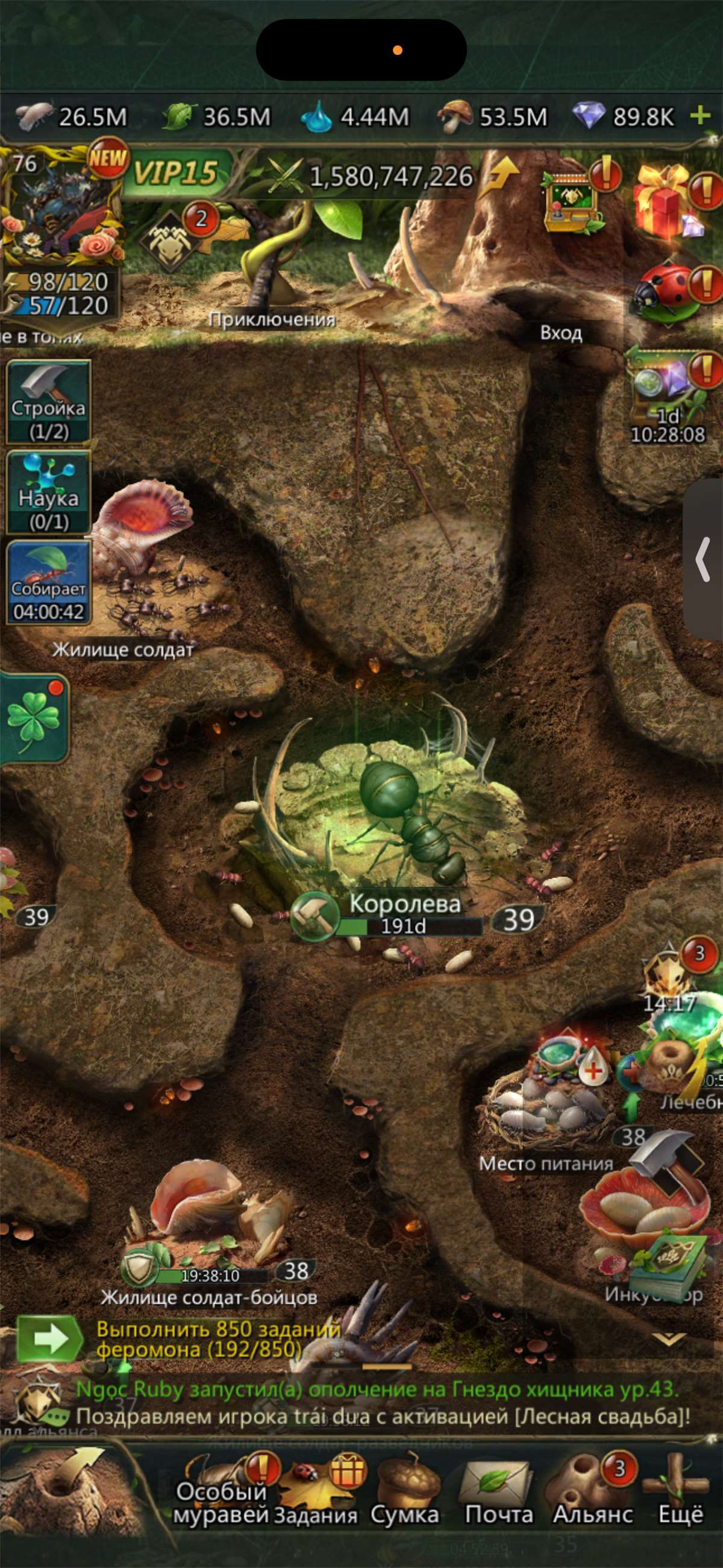 продажа аккаунта к игре Ant Legion