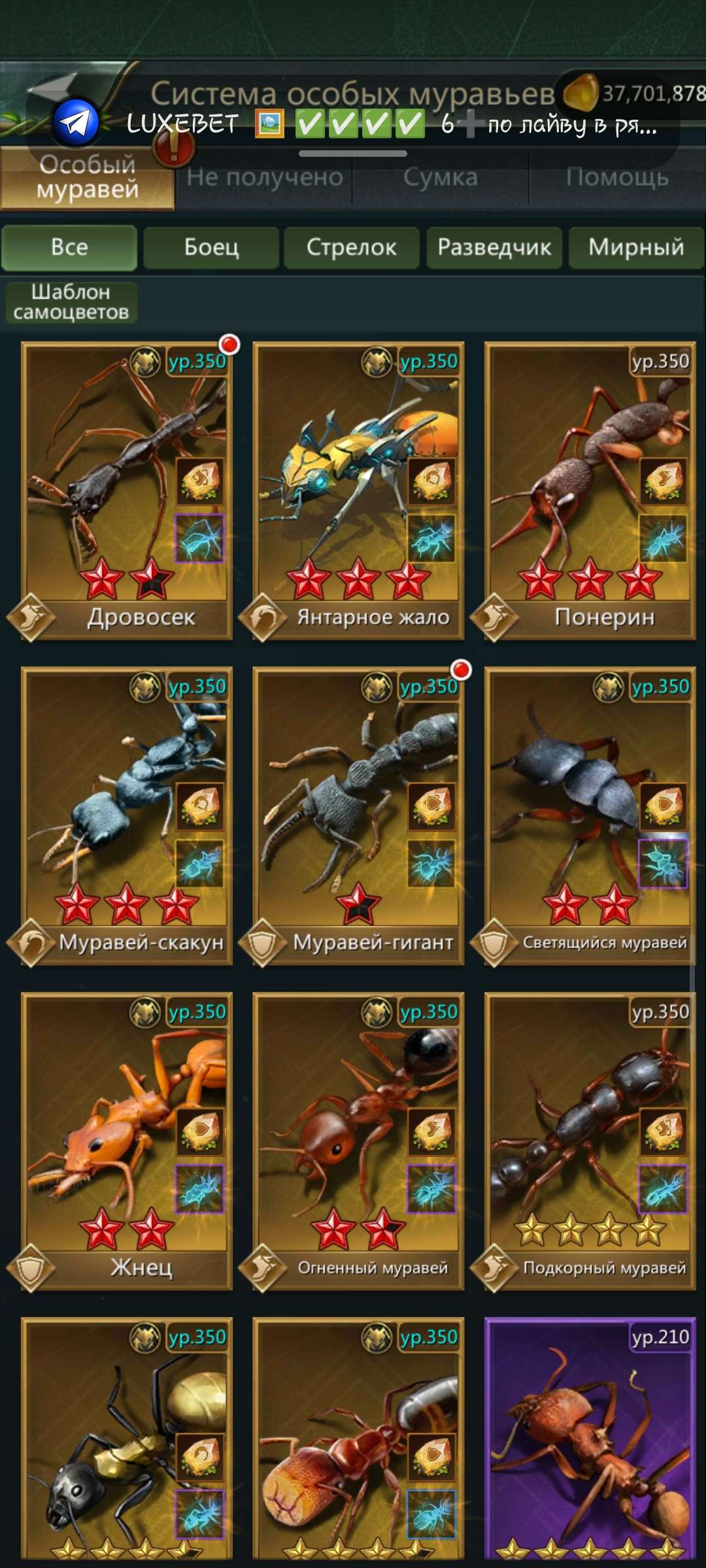 продажа аккаунта к игре Ant Legion