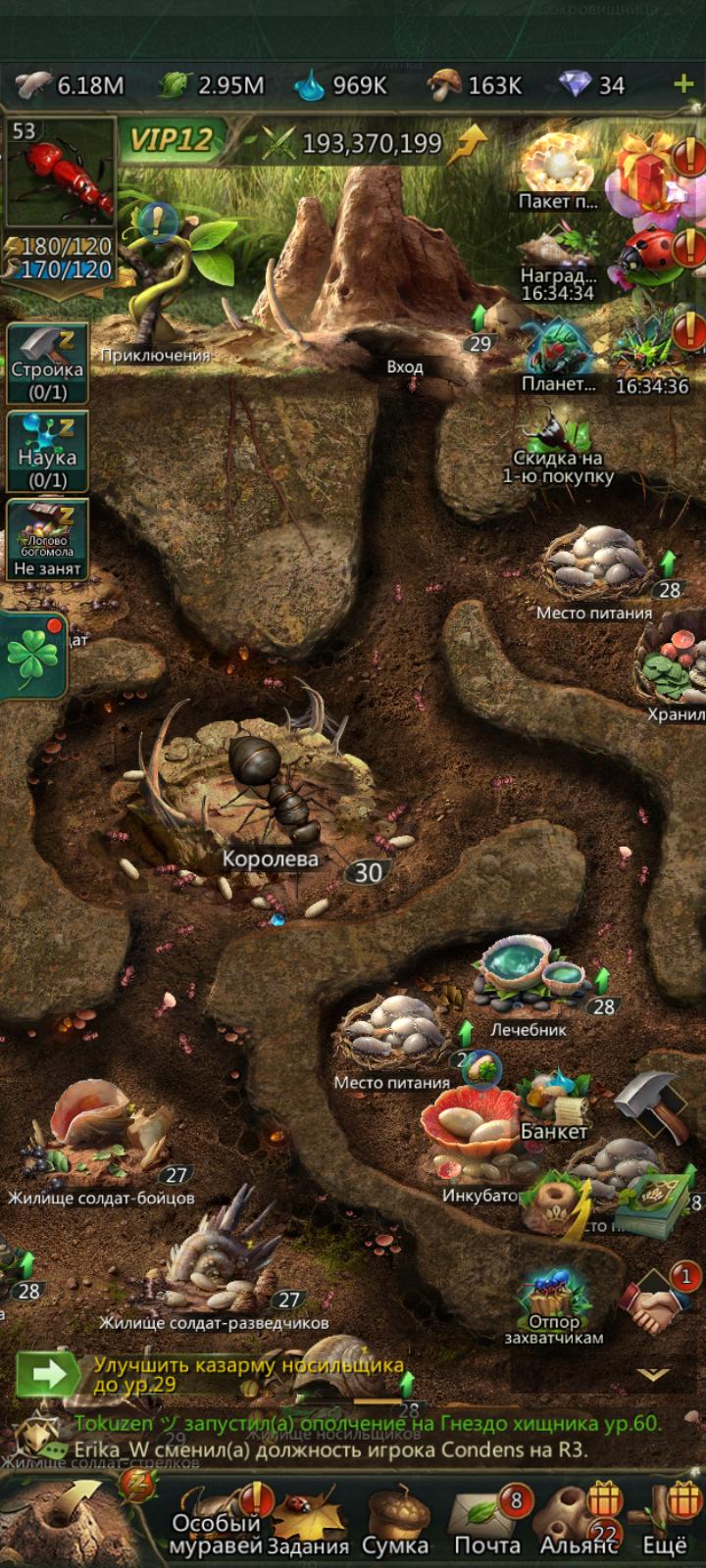 продажа аккаунта к игре Ant Legion