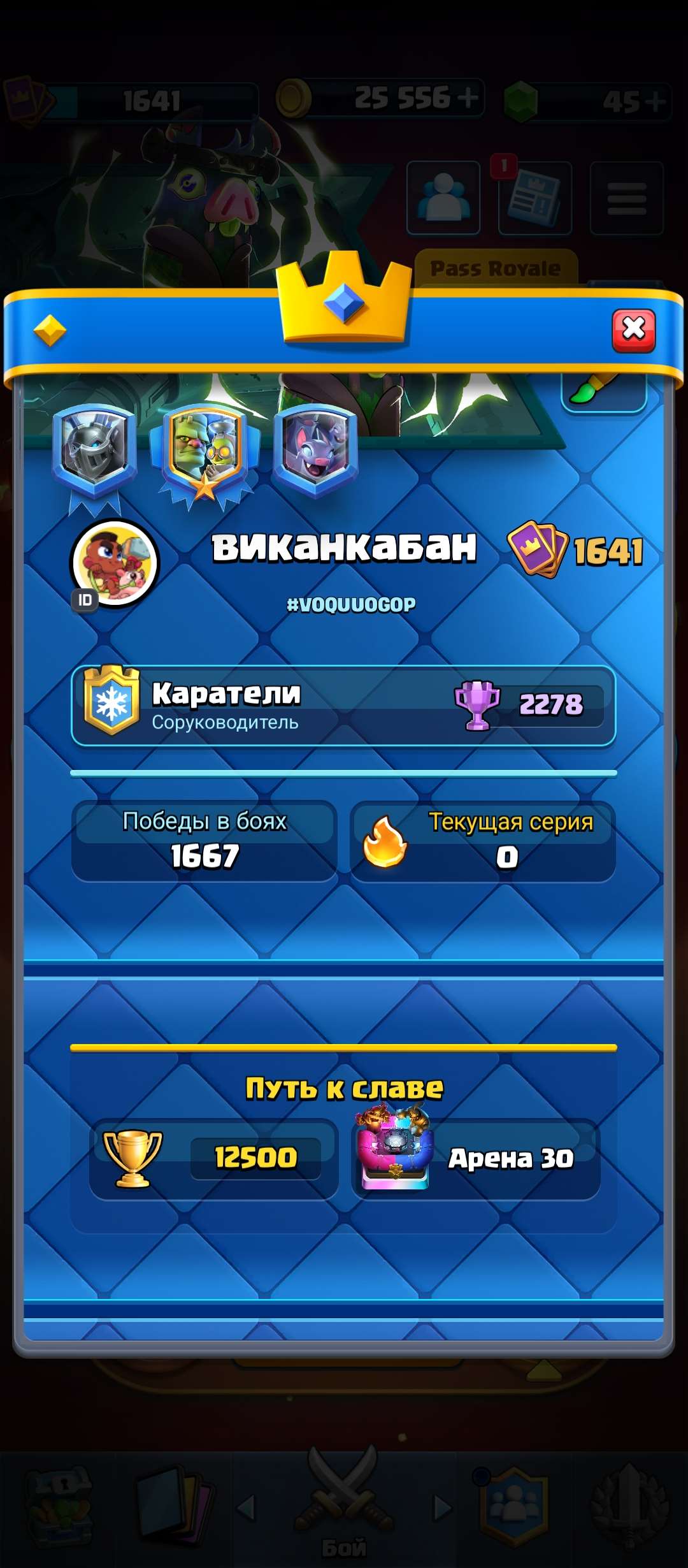 продажа аккаунта к игре Clash Royale