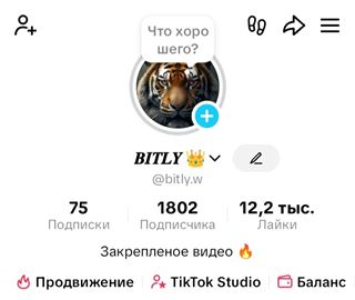 купить аккаунт TikTok