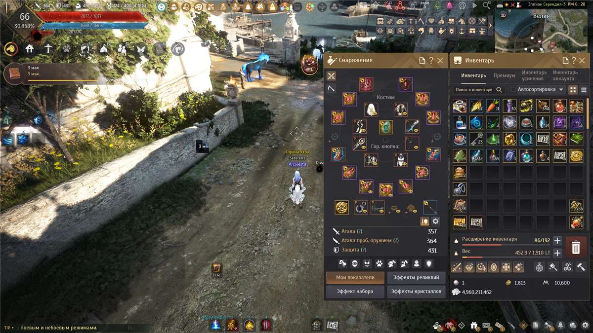 продажа аккаунта к игре Black Desert