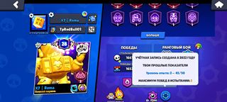 Все на фото Brawl Stars