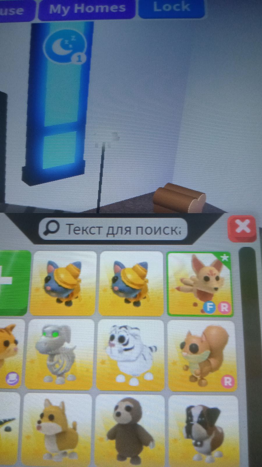 продажа предметов, вещей Golden Cat - Предметы, вещи в Roblox