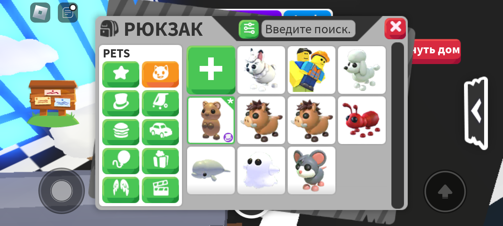 продажа предметов, вещей продаю кабана в адопте - Предметы, вещи в Roblox