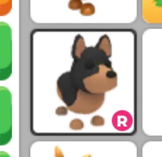 продажа предметов, вещей Райд австралийский Келпи (собака) - Предметы, вещи в Roblox
