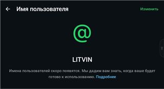 @LITVIN, минимальный торг есть, продажа срочная! в WhatsApp