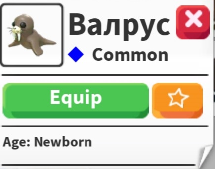 продажа предметов, вещей Valrus  - Предметы, вещи в Roblox