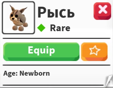 продажа предметов, вещей Рысь - Предметы, вещи в Roblox