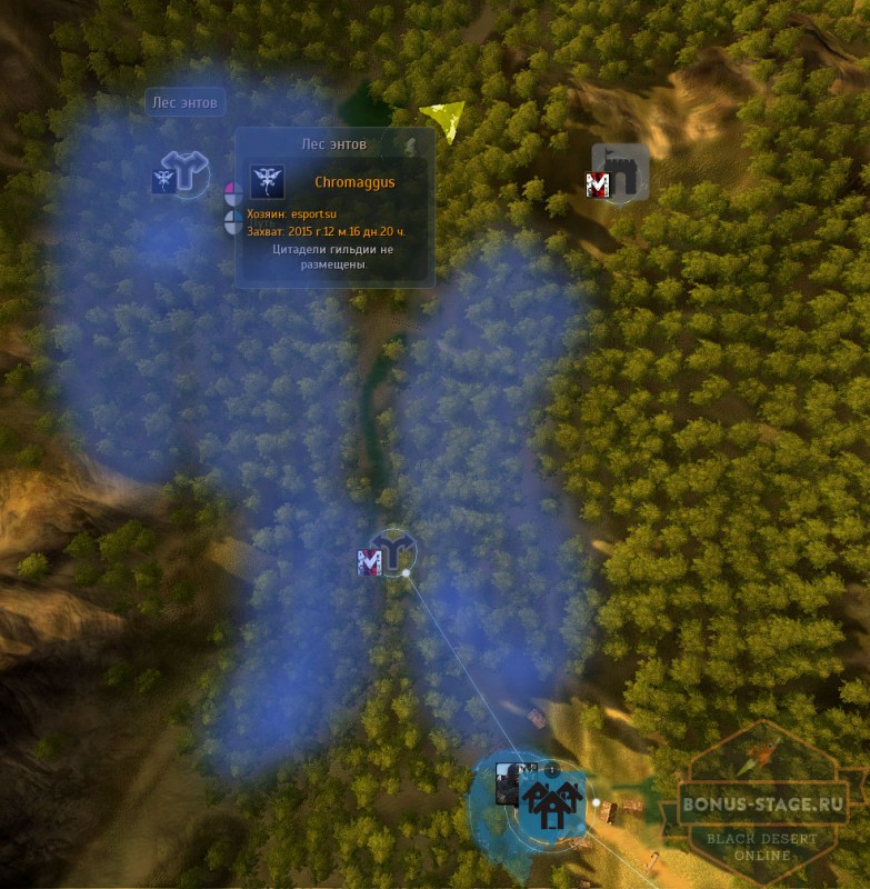 Black Desert. Прокачка  после 50 уровня - картинки