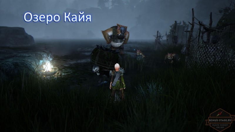 Black Desert. Прокачка  после 50 уровня - картинки