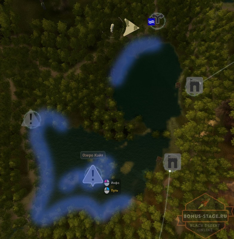 Black Desert. Прокачка  после 50 уровня - картинки