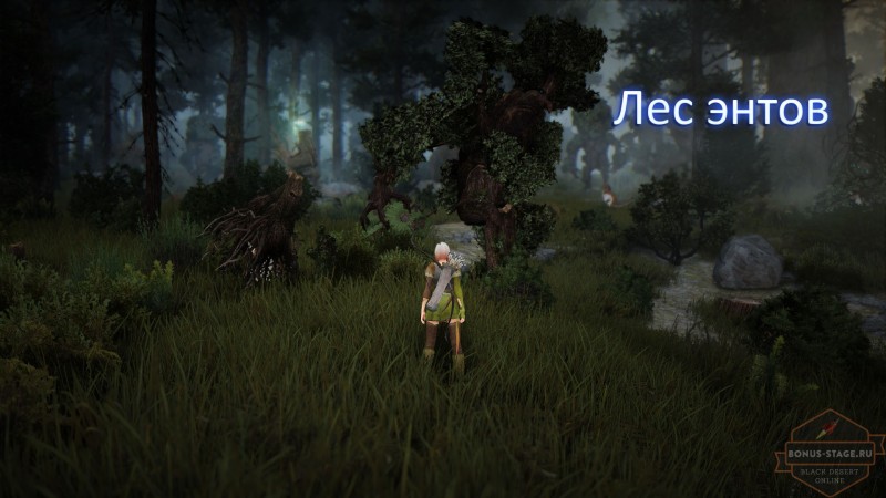 Black Desert. Прокачка  после 50 уровня - картинки