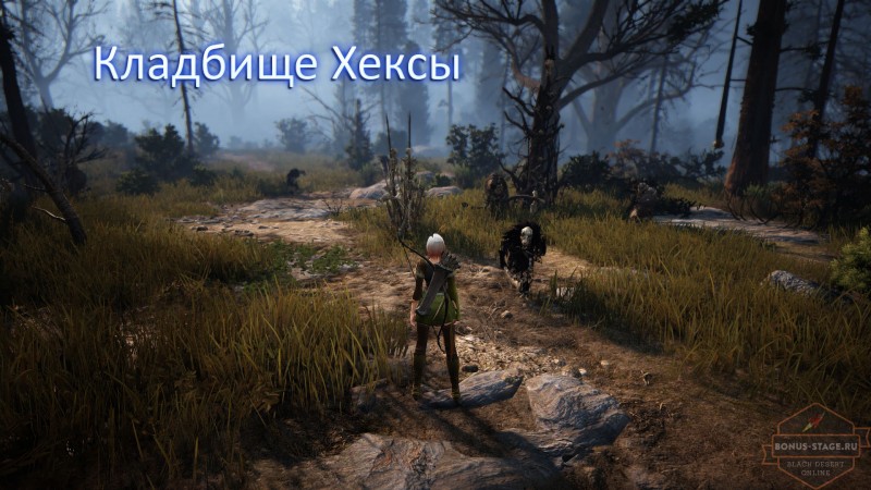 Black Desert. Прокачка  после 50 уровня - картинки