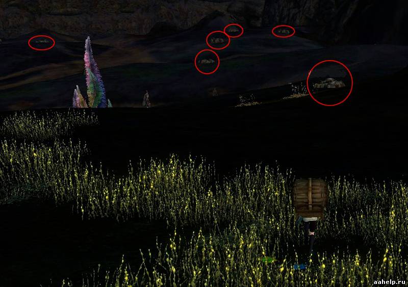 Гайд по Акхиум в ArcheAge. Акхиумные деревья - картинки