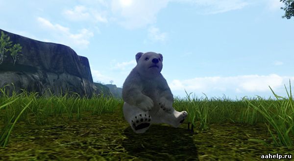 Животноводсто в ArcheAge. Разведение ятт и медведей - картинки
