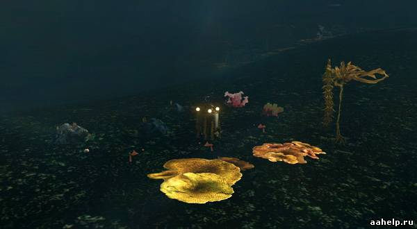 Подводная ферма в ArcheAge. Таблица роста кораллов - картинки