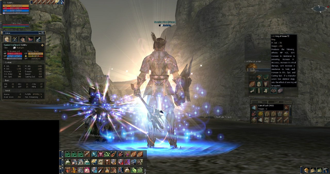 Система атрибутов Lineage 2 - картинки