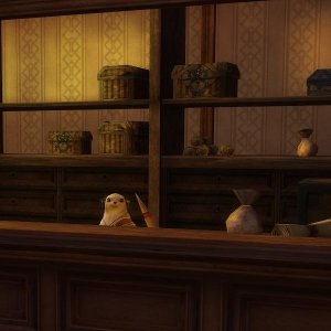 Aion(Айон). Торговля и магазины - картинки